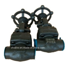 DIN Forged Carbon Steel A105 Thread End NPT Globe Valve